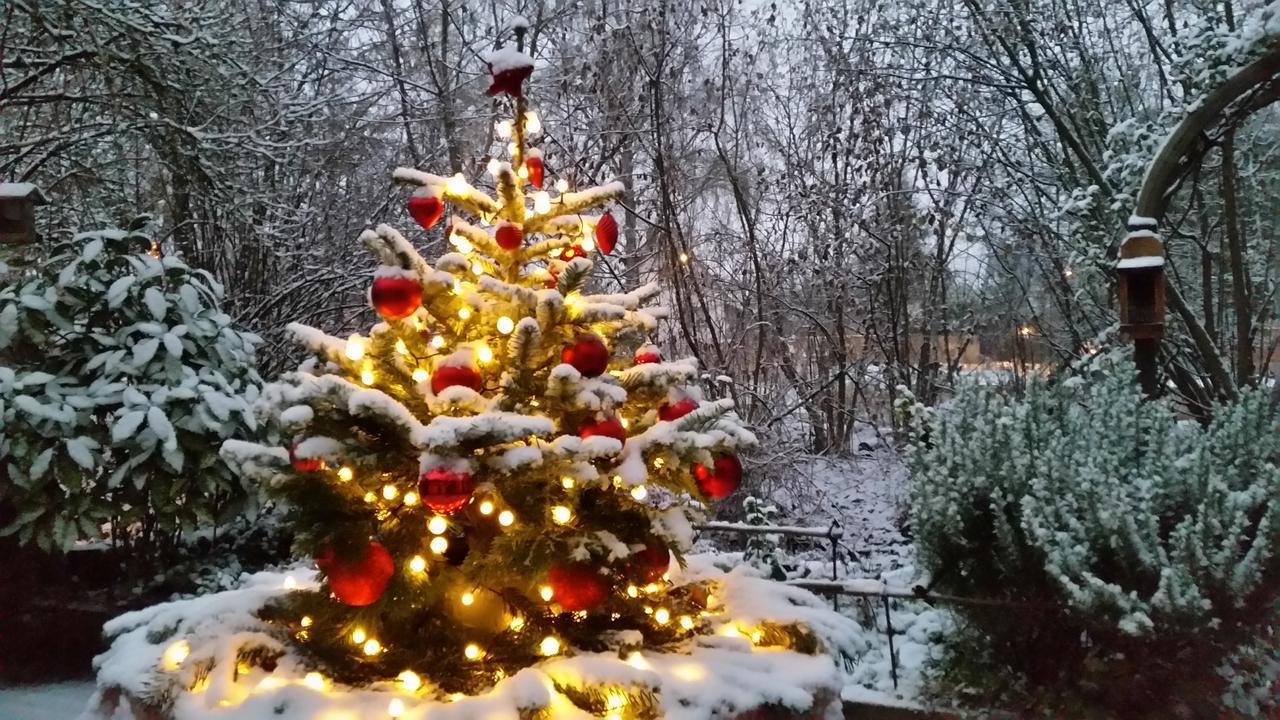 La Renardiere Reichshoffen Экстерьер фото